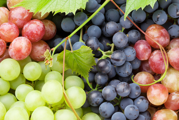 Grapes